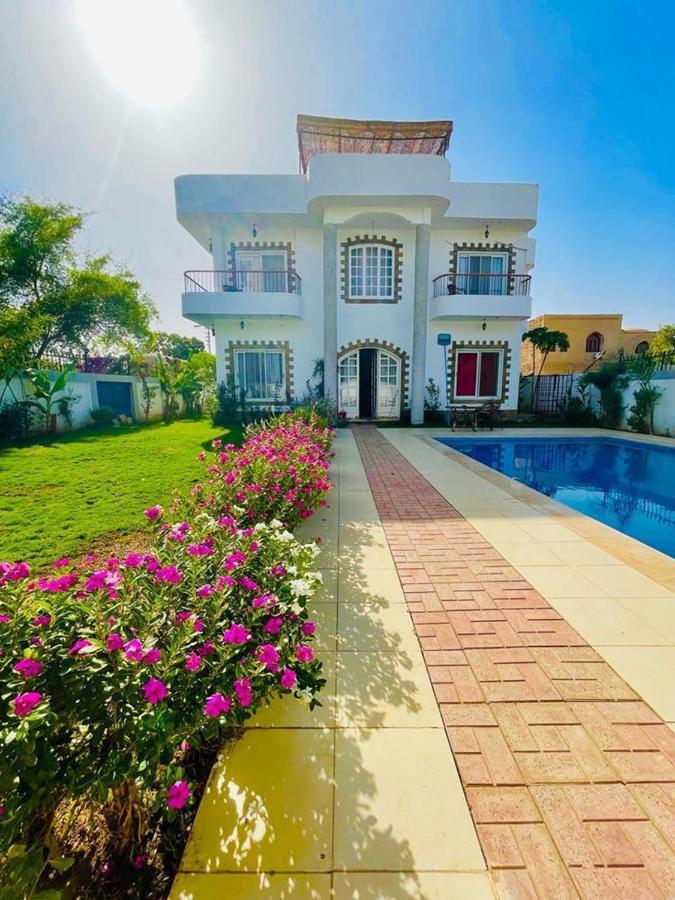 Ali Luxury Villa Luxor Exteriér fotografie