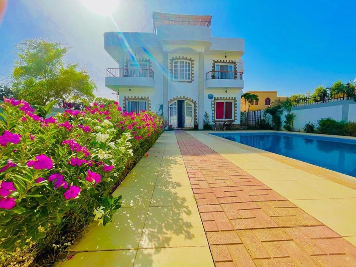 Ali Luxury Villa Luxor Exteriér fotografie